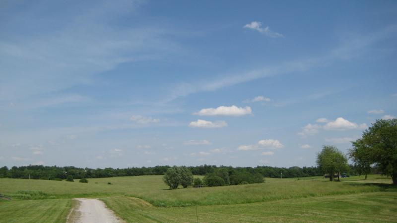 Springtime on the farm