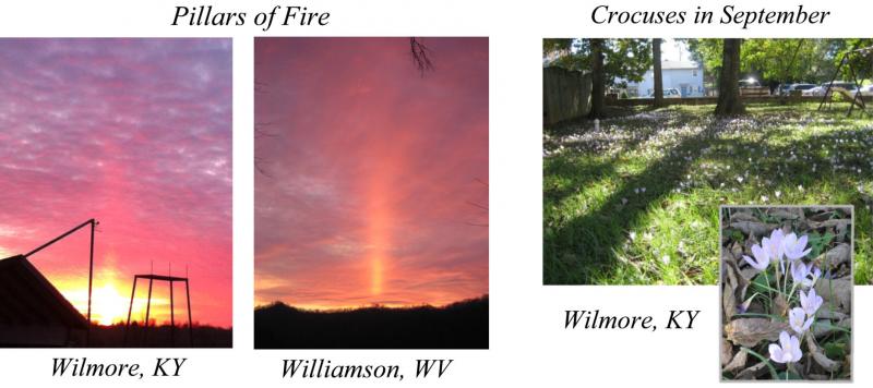 Pillars of Fire & Crocuses